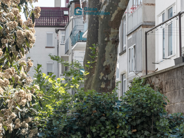 Aussicht Detail