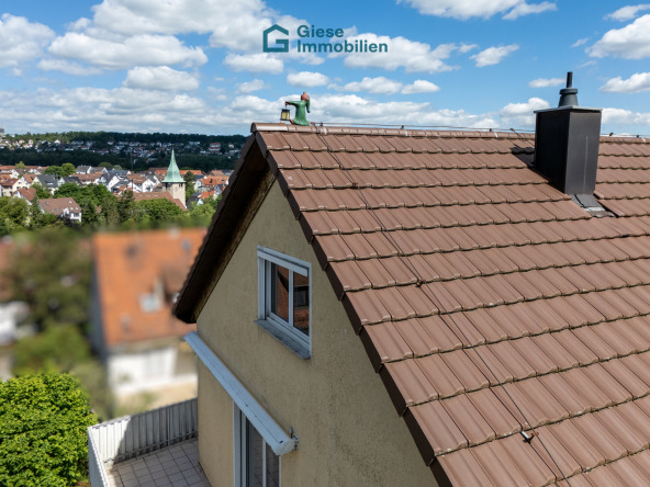 Der Schlafwandler