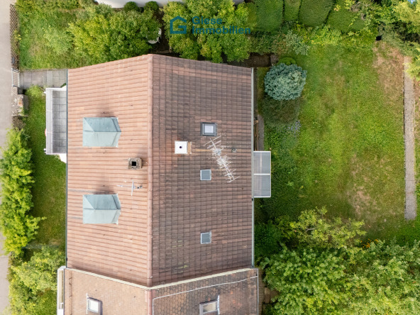 Vogelperspektive