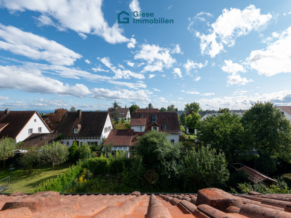 Ausblick