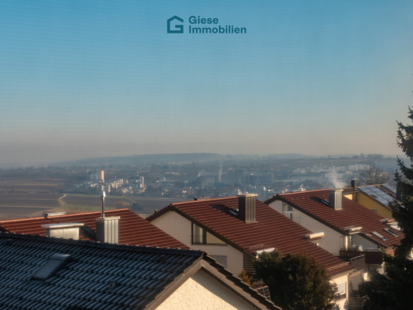 Ausblick nach vorn